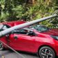 Tiang Listrik Timpa Mobil Kabid Linmas Satpol PP Minut